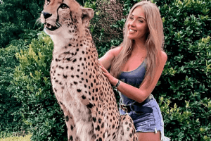 Зоопарк Cheetah’s Rock