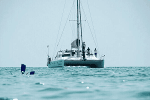 Индивидуальная рыбалка на катамаране Pelagic