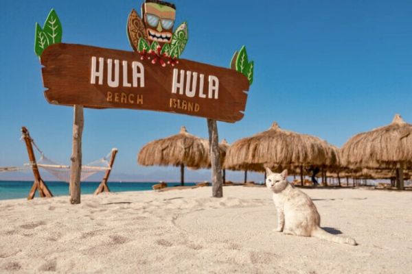 Остров hula hula Хургада 5.jpg Остров hula hula Хургада 5.jpg