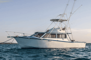 Экскурсии на Занзибаре 2026 (Танзания) Рыбалка на Занзибаре 3.png