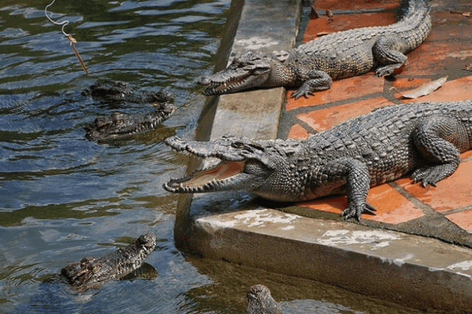 Янг Бей 15.png Янг Бей 15.png